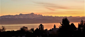 BodenSEE Apartment Friedrichshafen 